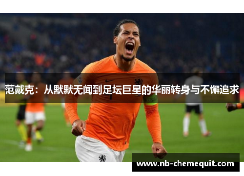 范戴克：从默默无闻到足坛巨星的华丽转身与不懈追求